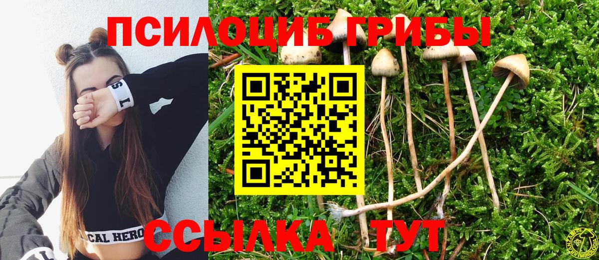 Галлюциногенные грибы мицелий Барабинск