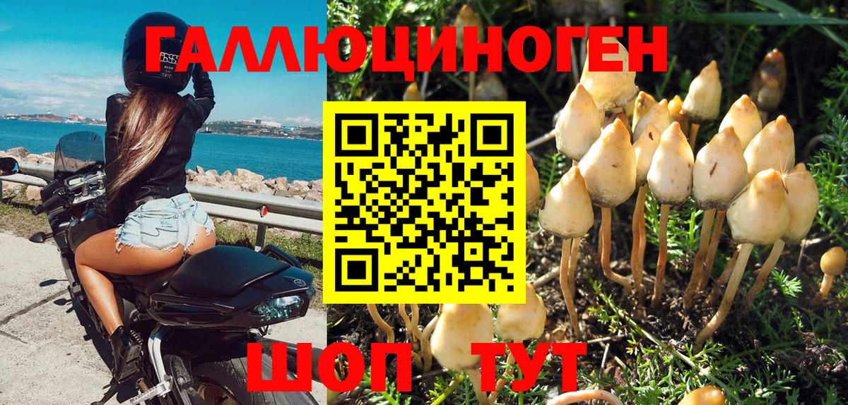 Псилоцибиновые грибы мицелий Барабинск