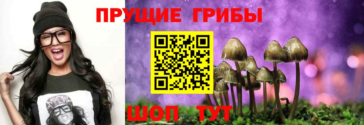 Галлюциногенные грибы Psilocybe  Вход с VPN  Галлюциногенные грибы мицелий  Барабинск 