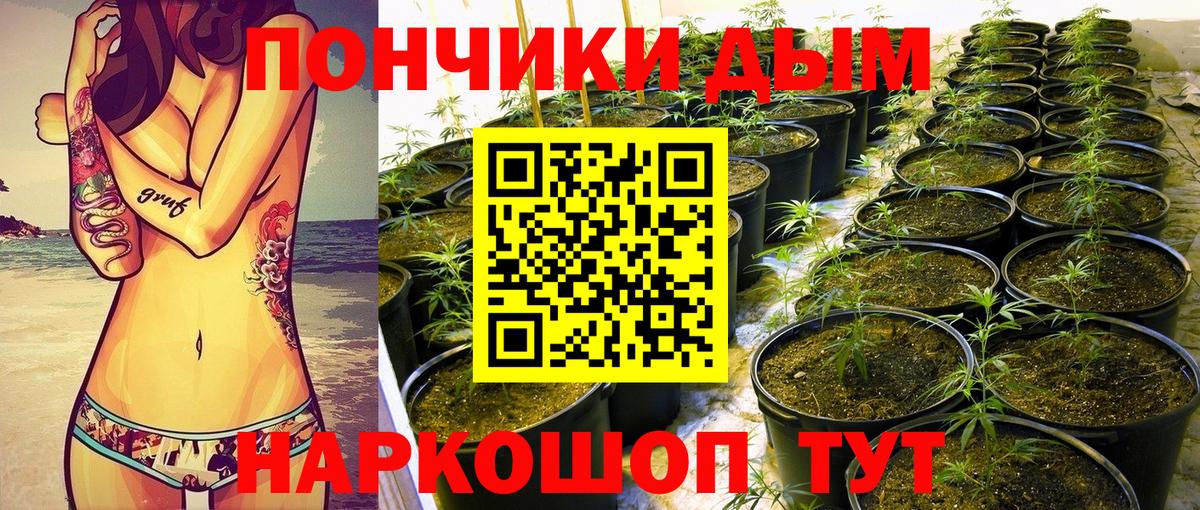 Барабинск  Конопля сатива  Вход с VPN  Шишки марихуана Ganja  Марихуана план 